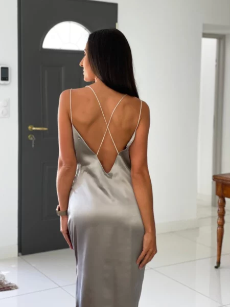 Silk dress V backline